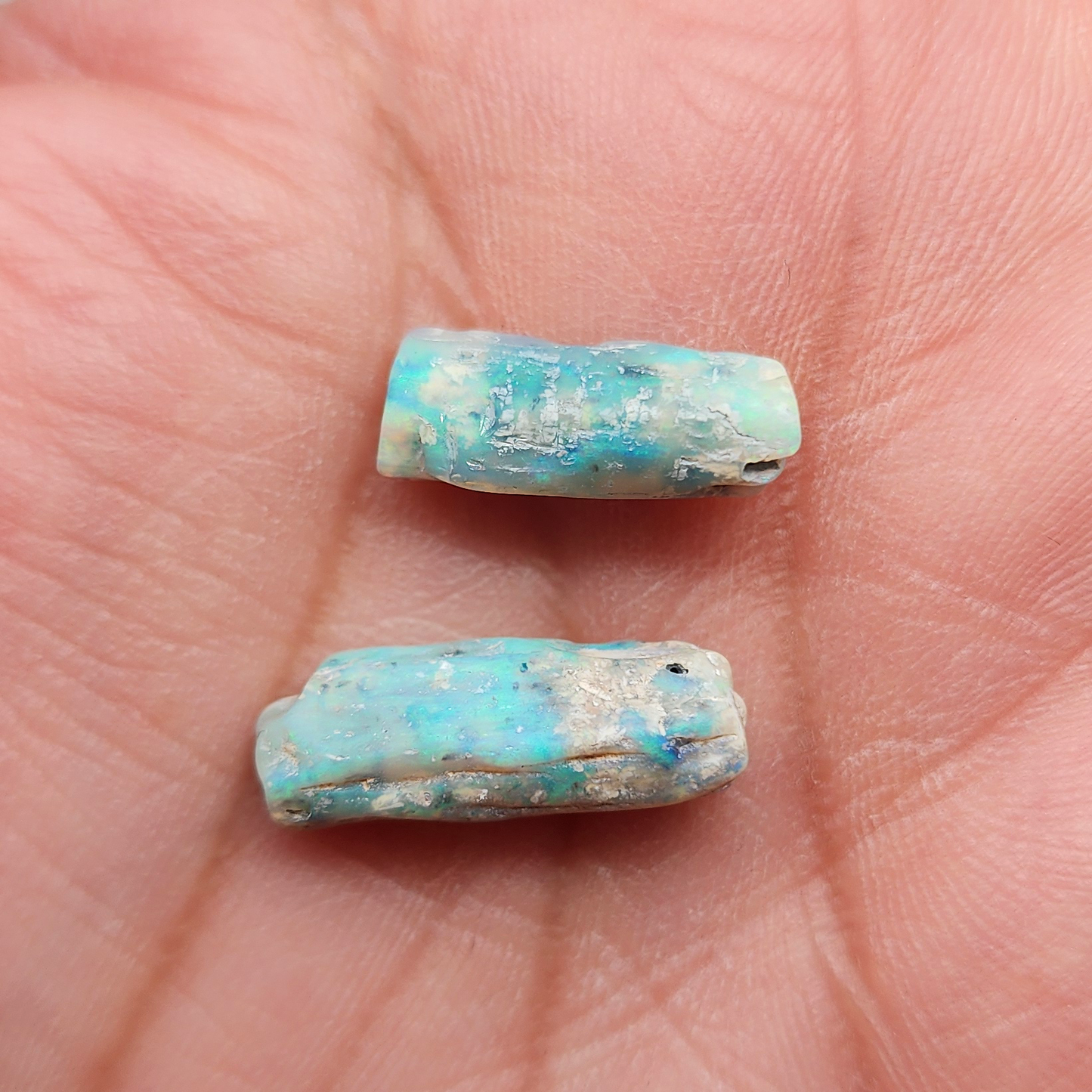 fossilized Opal wood specimens, 110 million years old