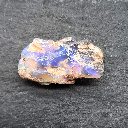 22ct fossilized Opal wood specimen, 110 million years old