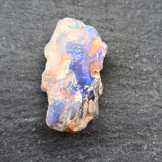 22ct fossilized Opal wood specimen, 110 million years old