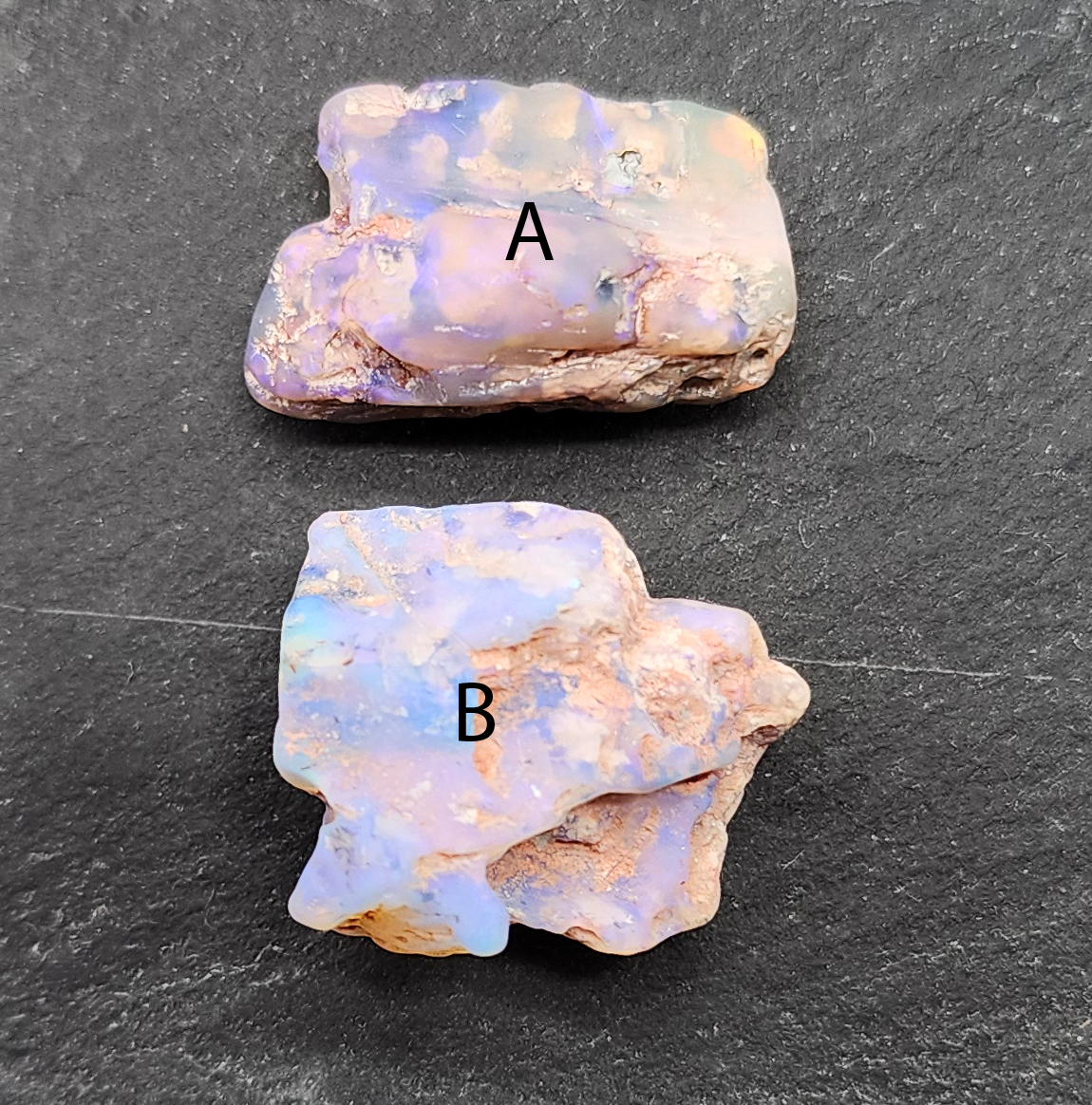 fossilized Opal wood specimens, 110 million years old