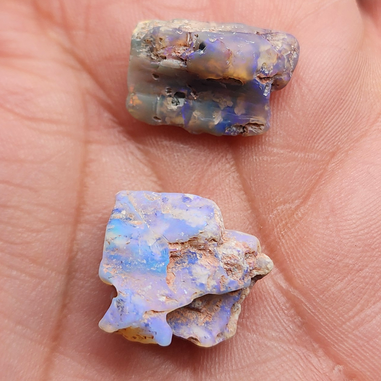 fossilized Opal wood specimens, 110 million years old