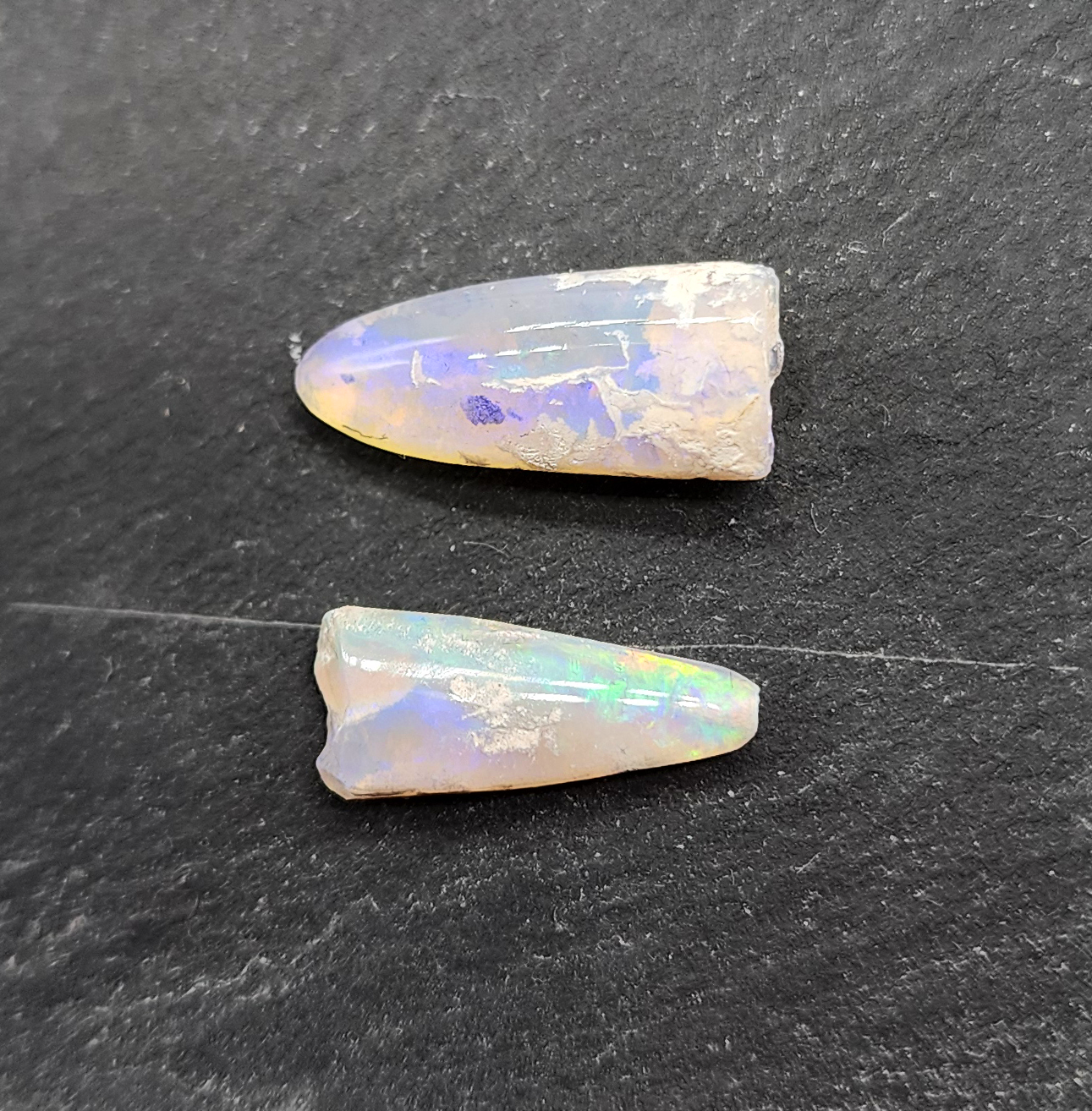 Opal belemnite fossil specimen, 110 million years old