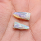 Opal belemnite fossil specimen, 110 million years old