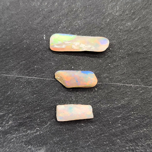 fossilized Opal wood specimens, 110 million years old