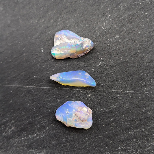 BUNDLE-fossilized Opal wood specimens, 110 million years old