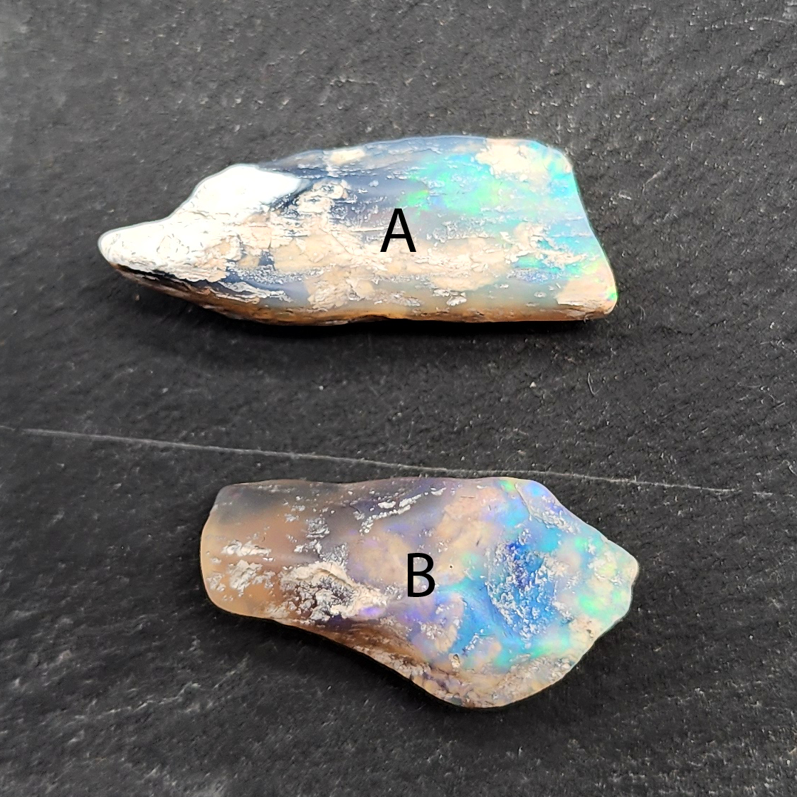 PAIR-Opal wood specimen, 110 million years old