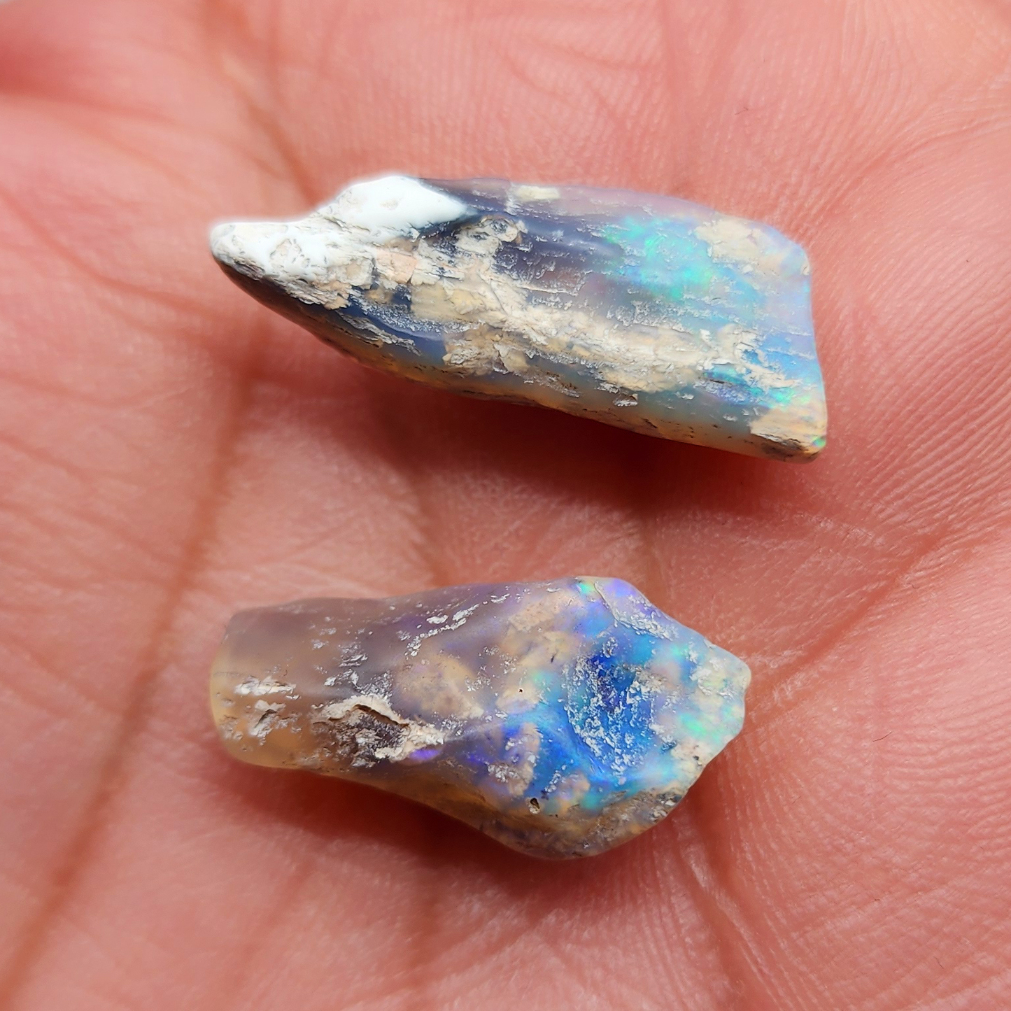 PAIR-Opal wood specimen, 110 million years old