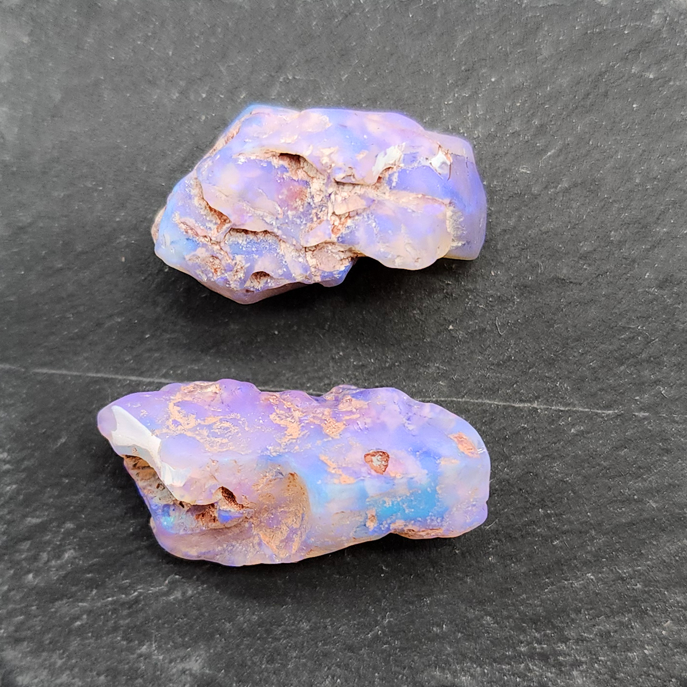 fossilized Opal wood specimens, 110 million years old