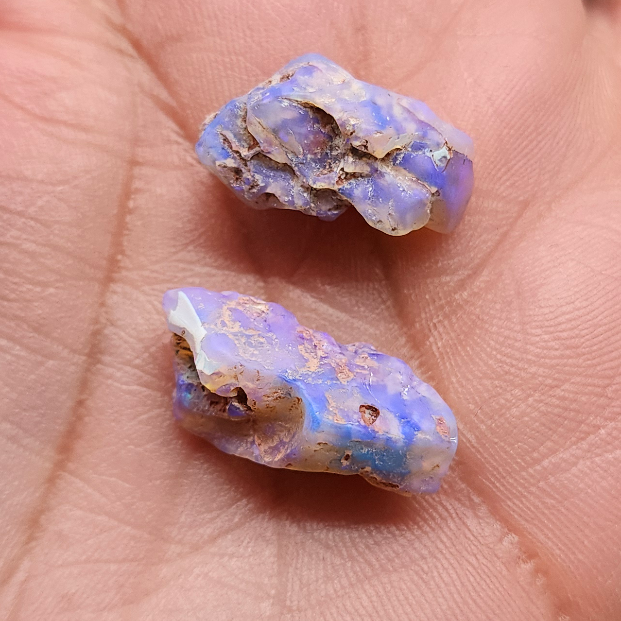 fossilized Opal wood specimens, 110 million years old