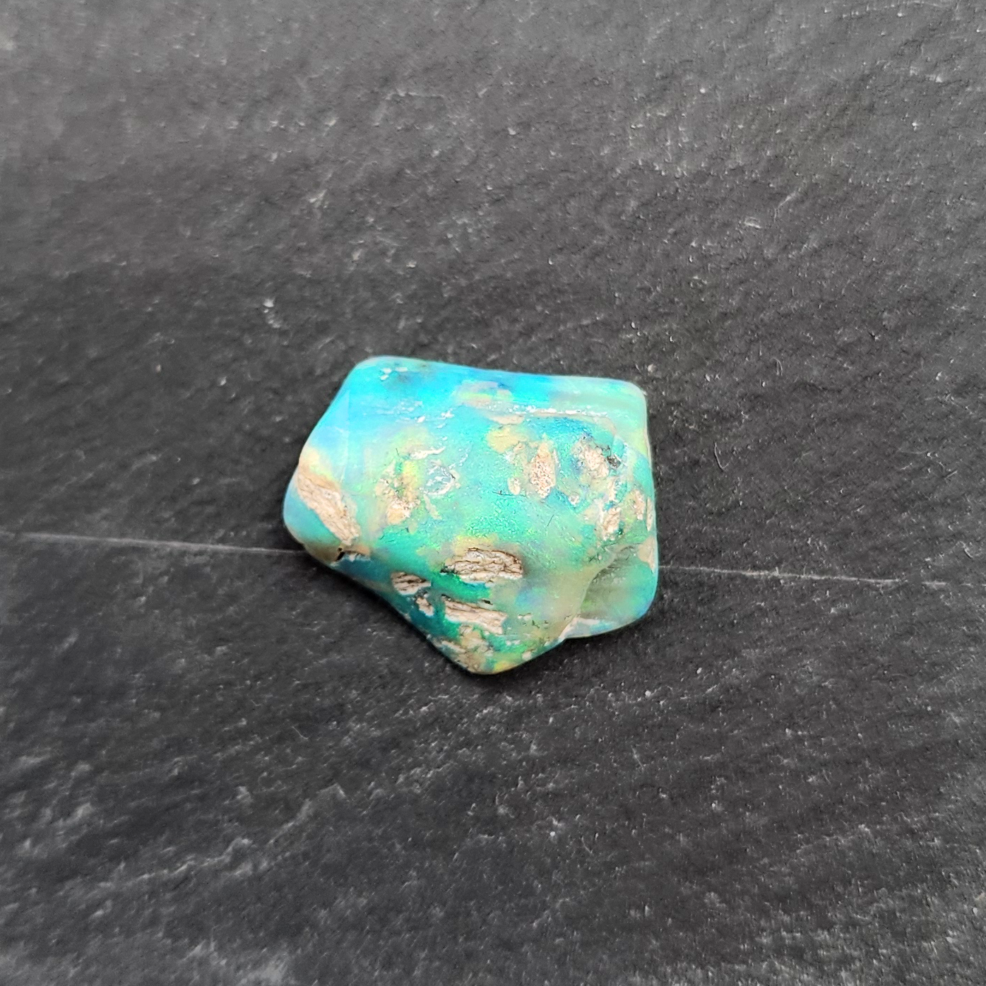 6.8ct fossilized Opal wood specimen, 110 million years old