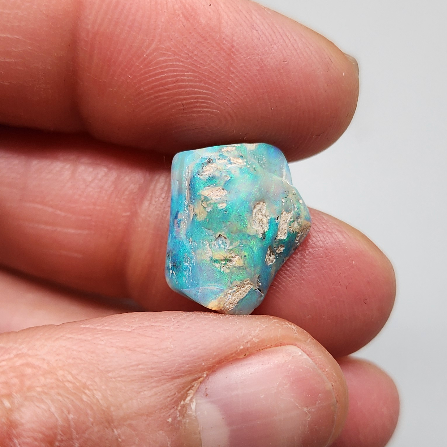 6.8ct fossilized Opal wood specimen, 110 million years old