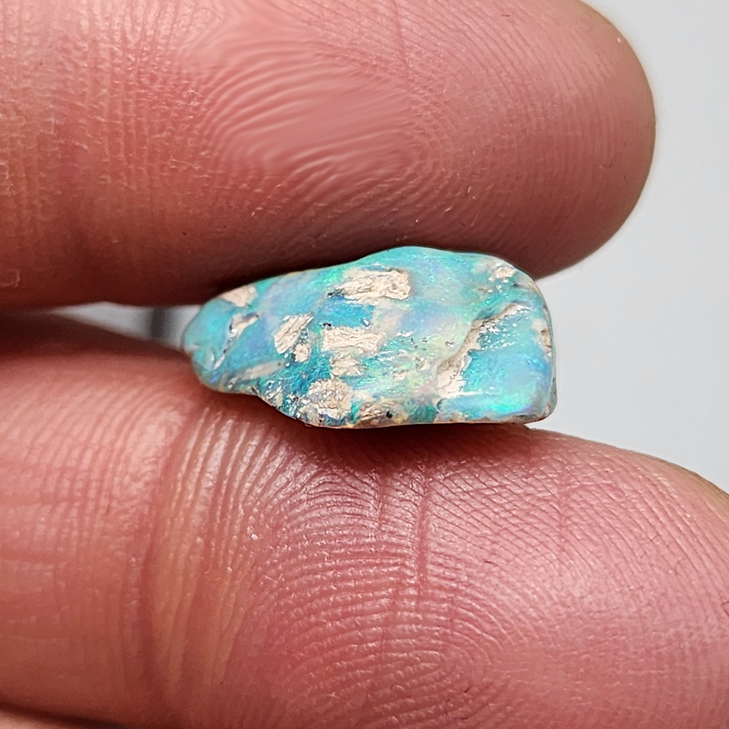 6.8ct fossilized Opal wood specimen, 110 million years old