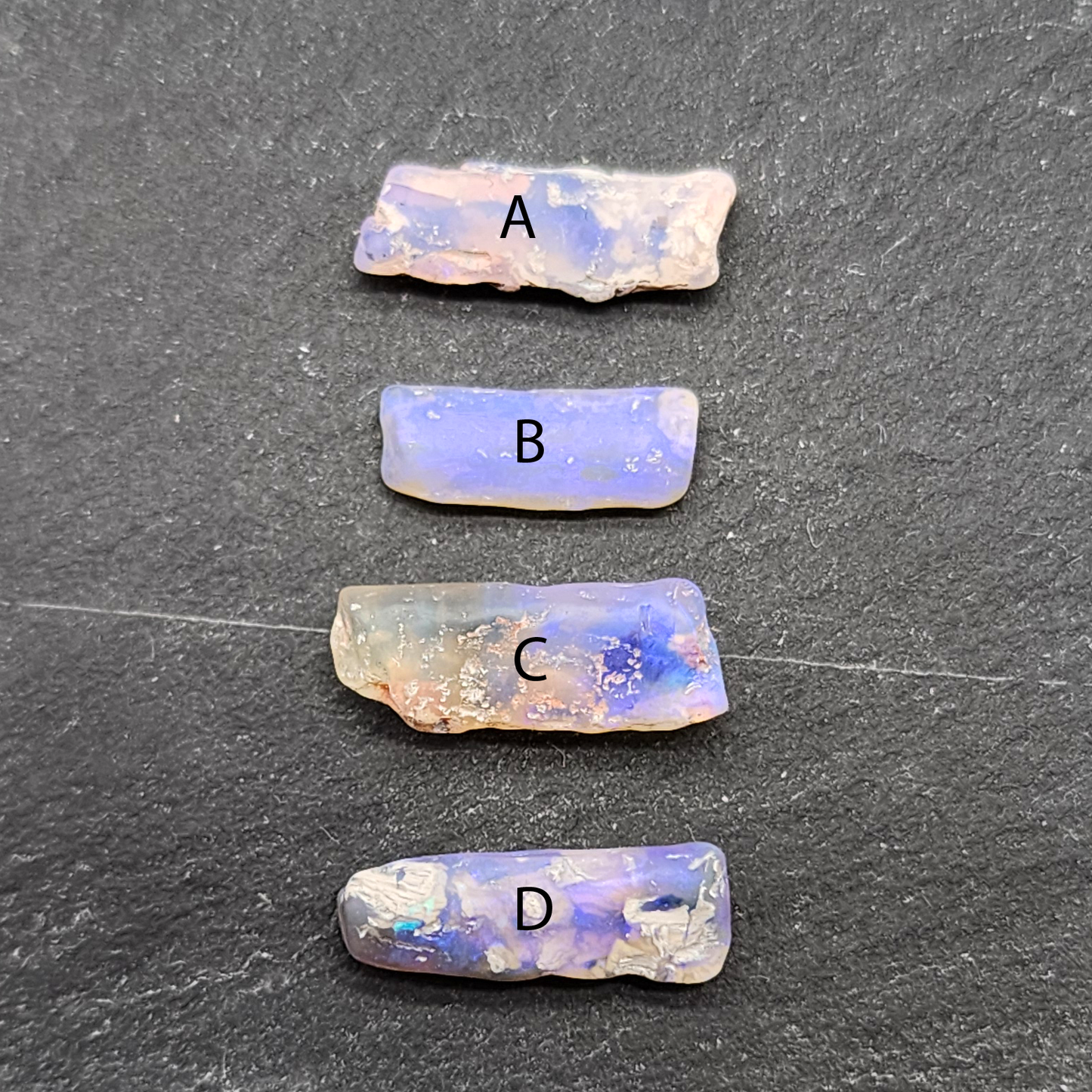 fossilized Opal wood specimens, 110 million years old