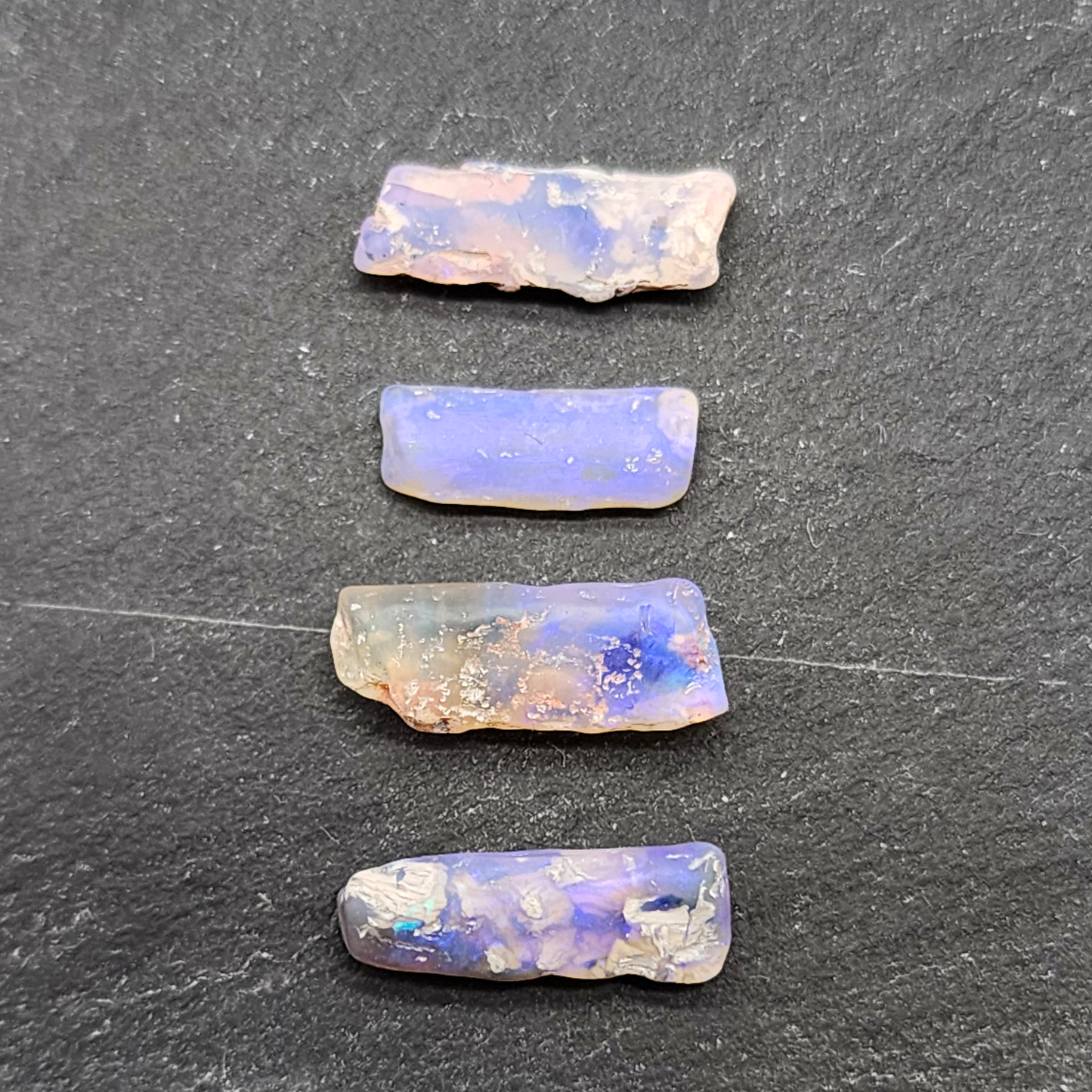 fossilized Opal wood specimens, 110 million years old