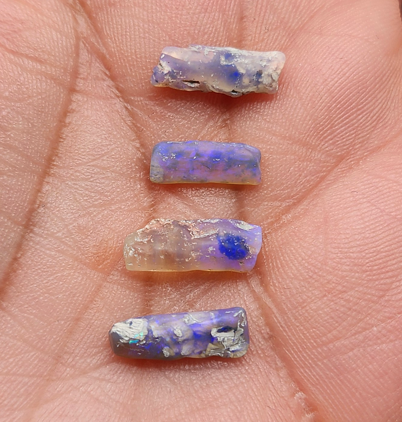 fossilized Opal wood specimens, 110 million years old