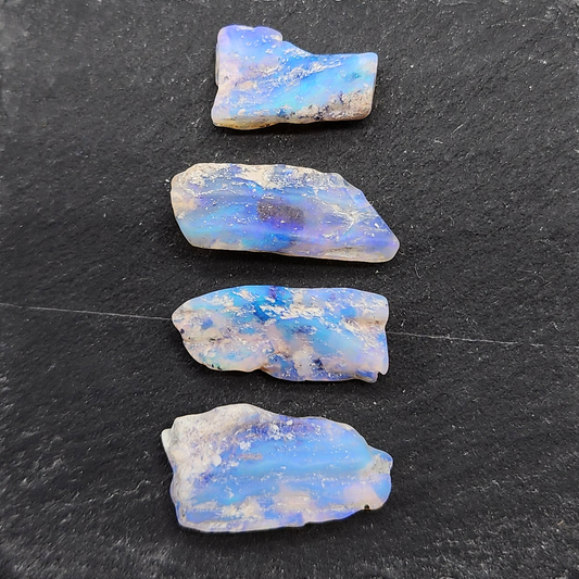 fossilized Opal wood specimens, 110 million years old