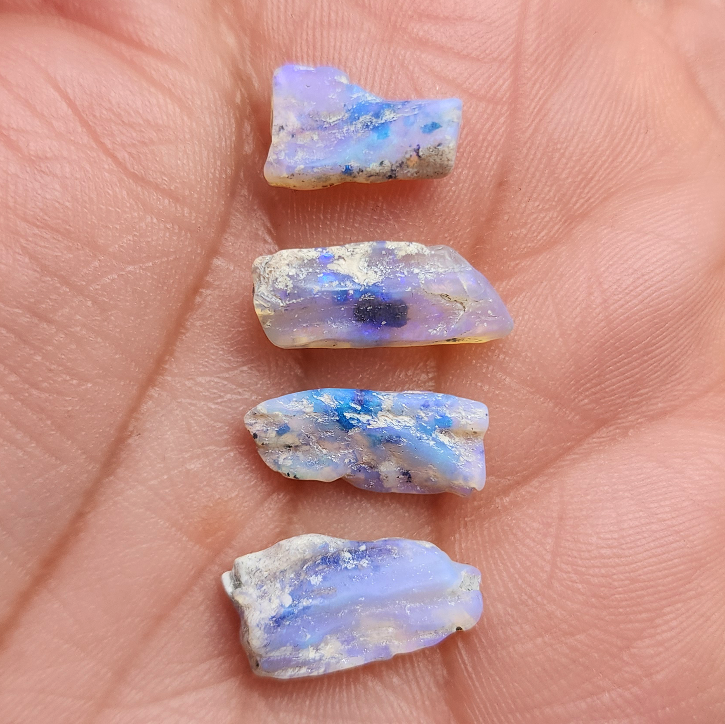 fossilized Opal wood specimens, 110 million years old