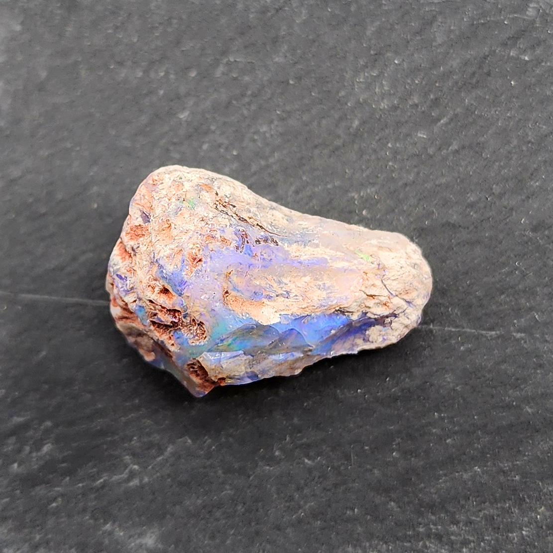 23.8ct fossilized Opal wood specimens, 110 million years old