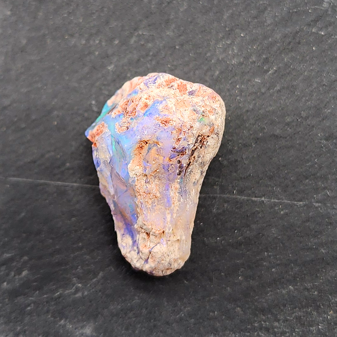 23.8ct fossilized Opal wood specimens, 110 million years old