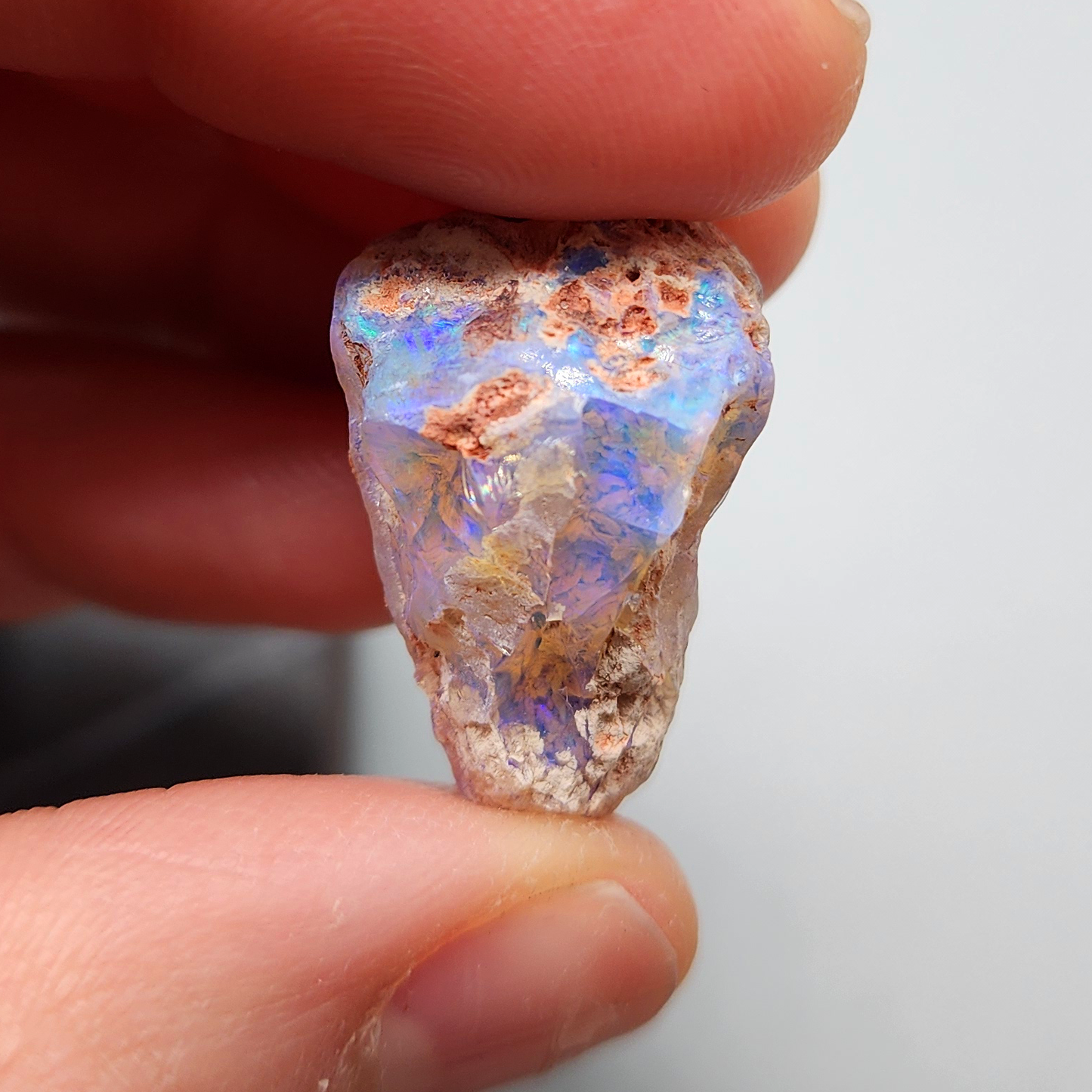 23.8ct fossilized Opal wood specimens, 110 million years old