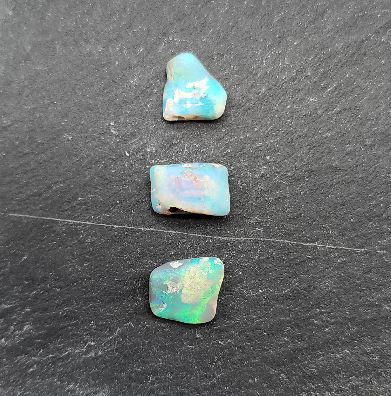 BUNDLE-fossilized Opal wood specimens, 110 million years old