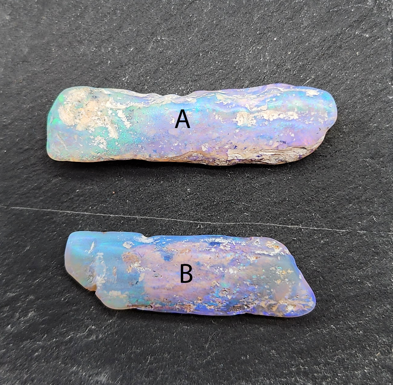 fossilized Opal wood specimens, 110 million years old