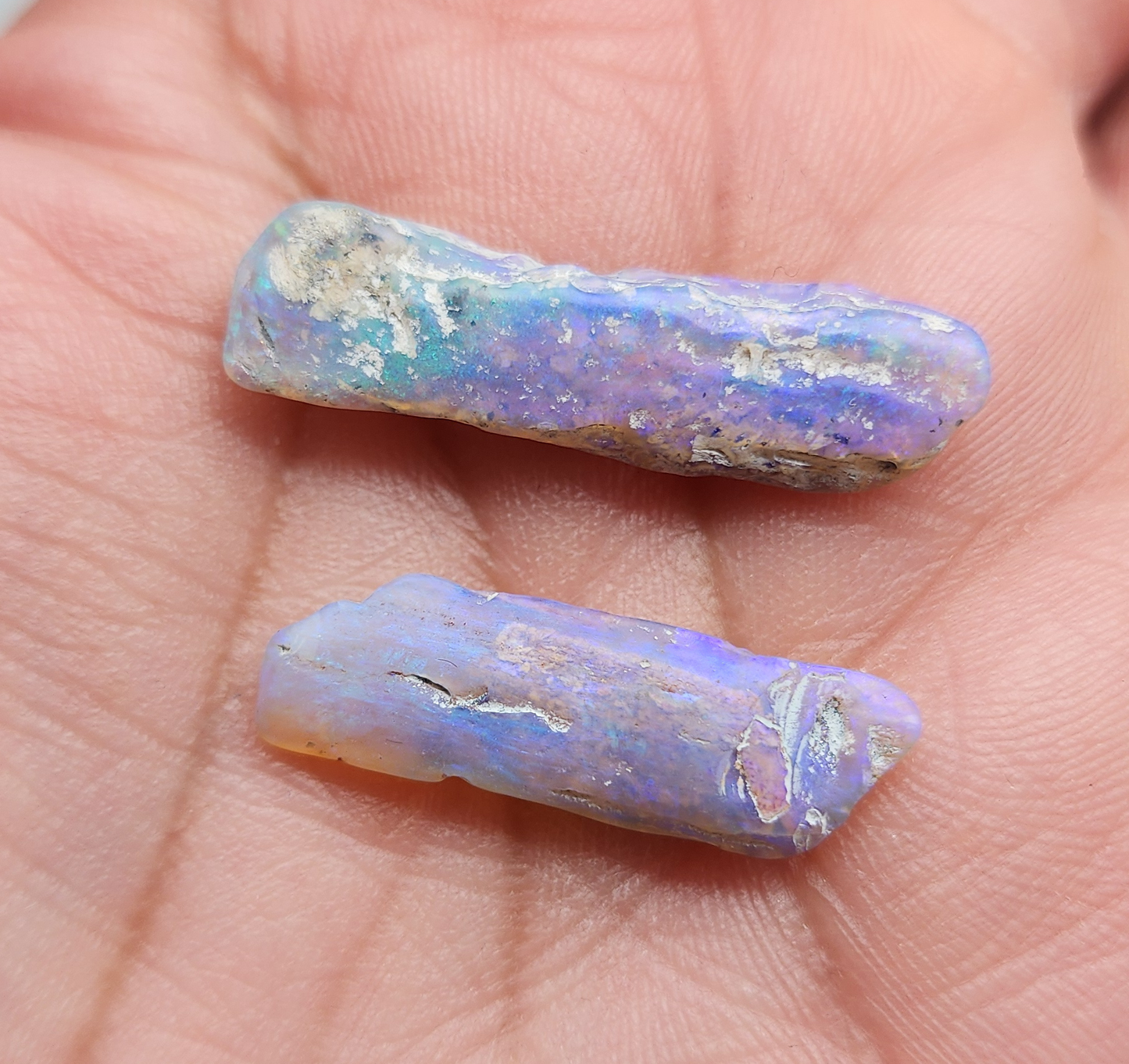 fossilized Opal wood specimens, 110 million years old