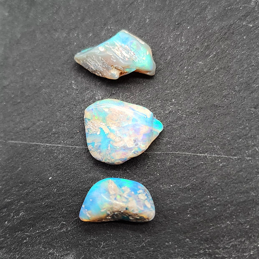 fossilized Opal wood specimens, 110 million years old