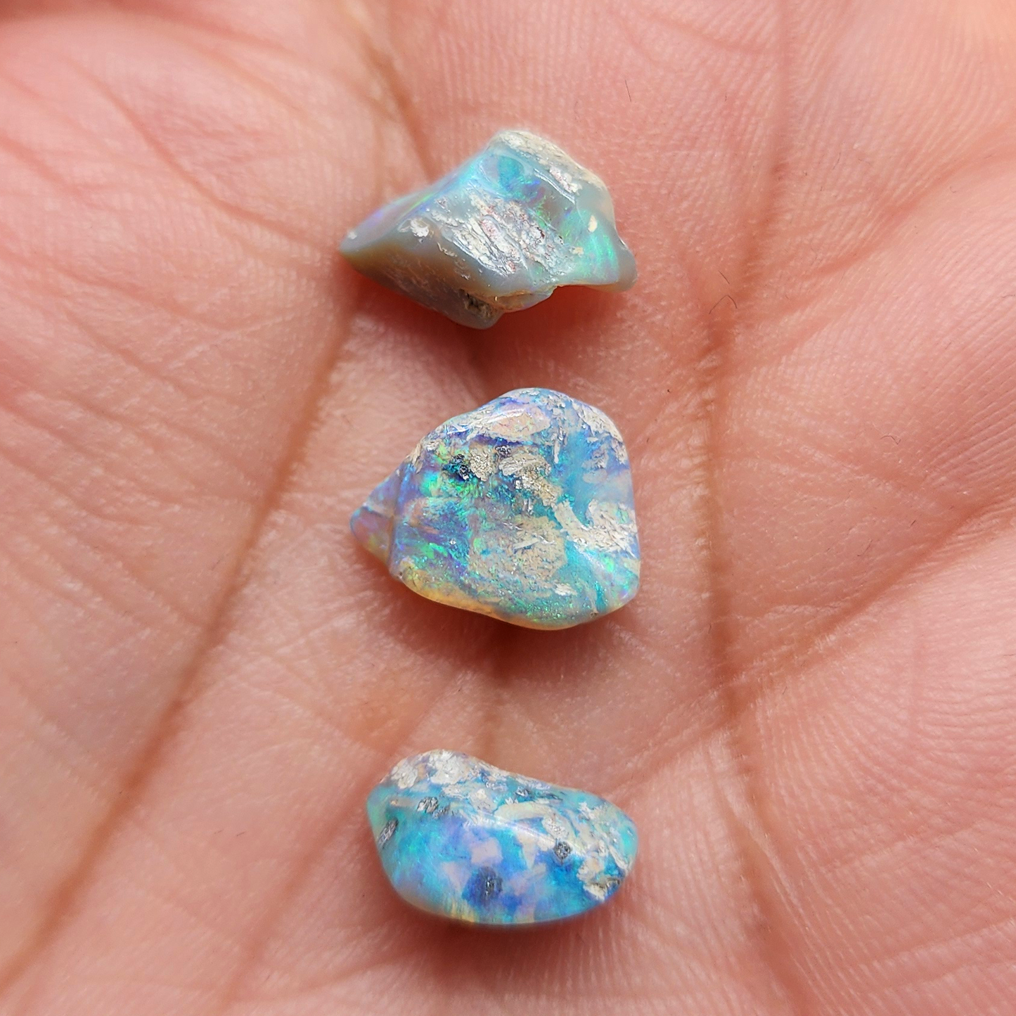 fossilized Opal wood specimens, 110 million years old