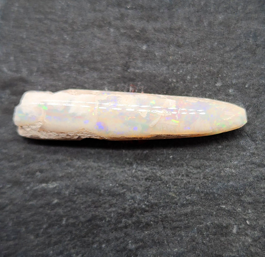 Opal belemnite fossil specimen, 110 million years old