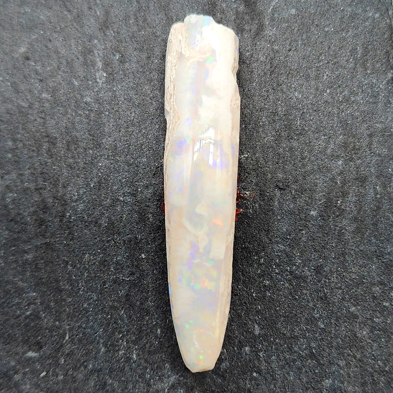 Opal belemnite fossil specimen, 110 million years old