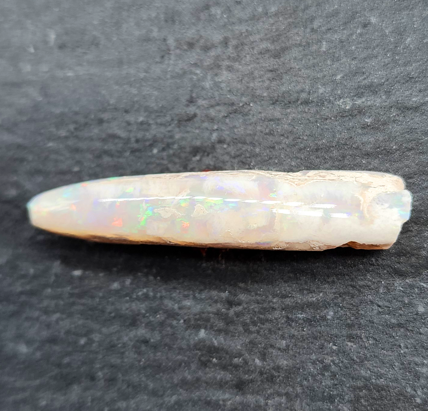 Opal belemnite fossil specimen, 110 million years old