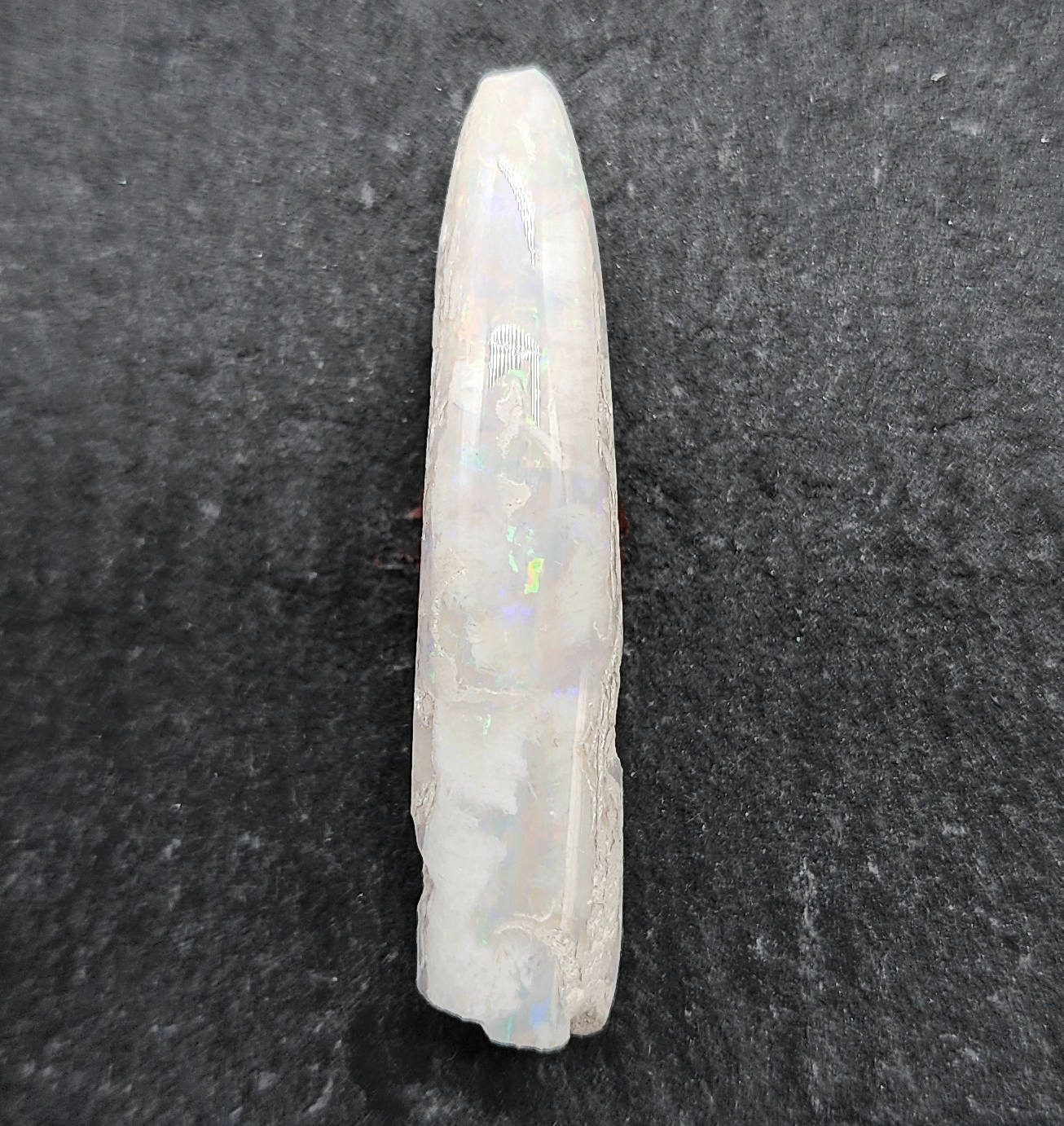 Opal belemnite fossil specimen, 110 million years old