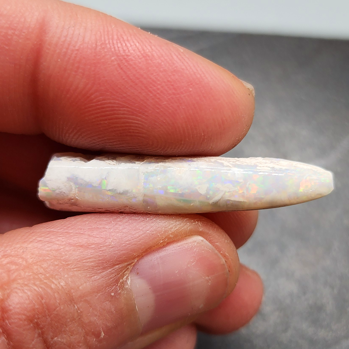 Opal belemnite fossil specimen, 110 million years old