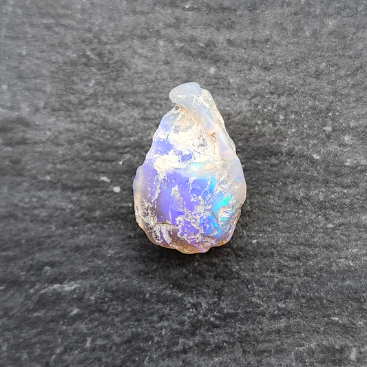 Opalized Bivalve fossil, 110 million years old