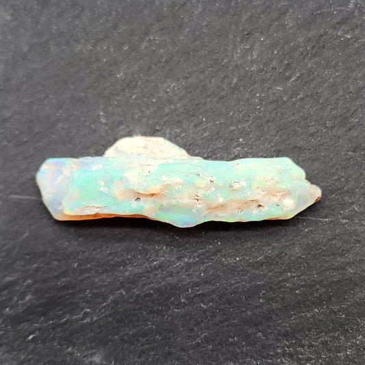 7.8ct fossilized Opal wood specimens, 110 million years old