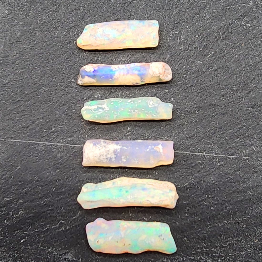 fossilized Opal wood specimens, 110 million years old