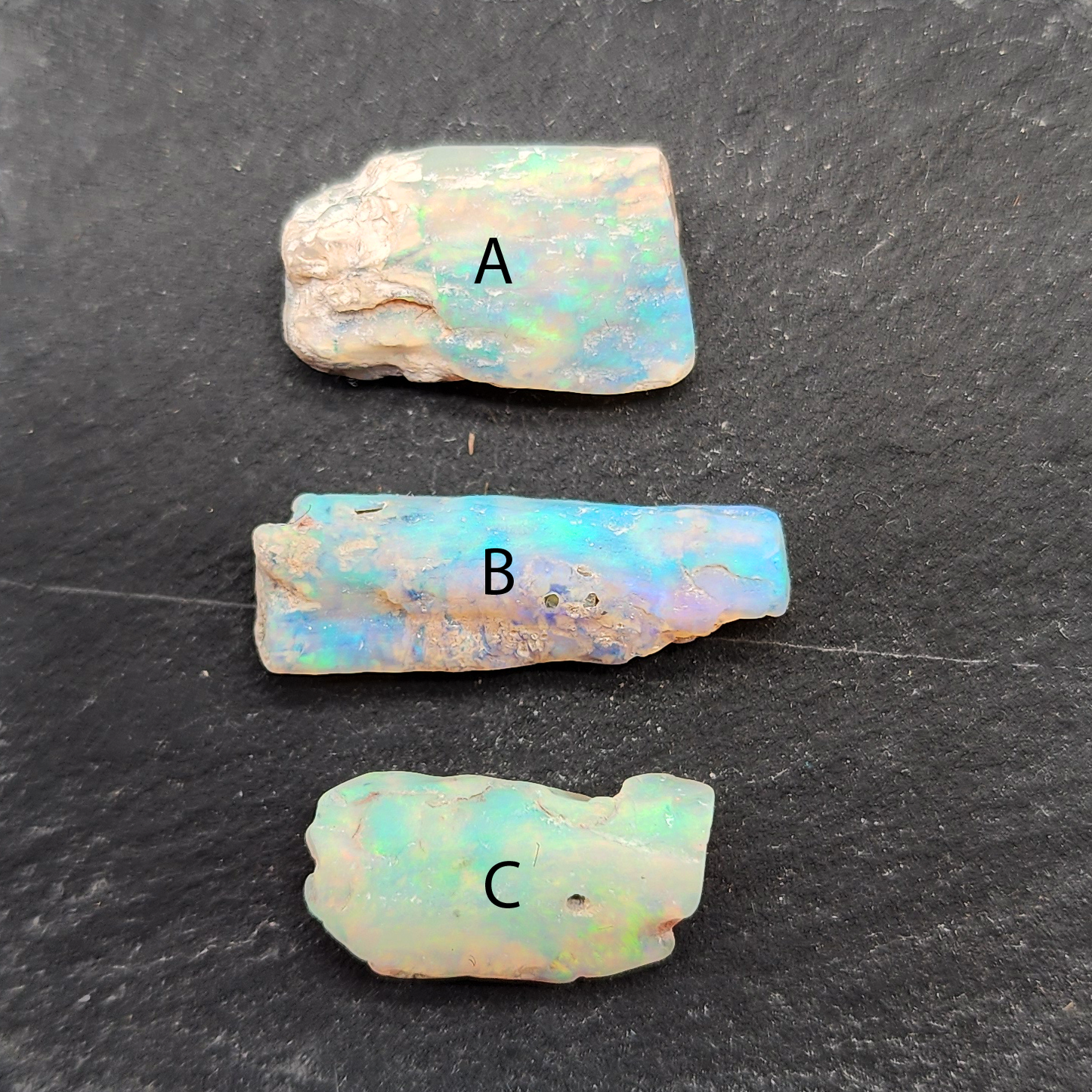 fossilized Opal wood specimens, 110 million years old