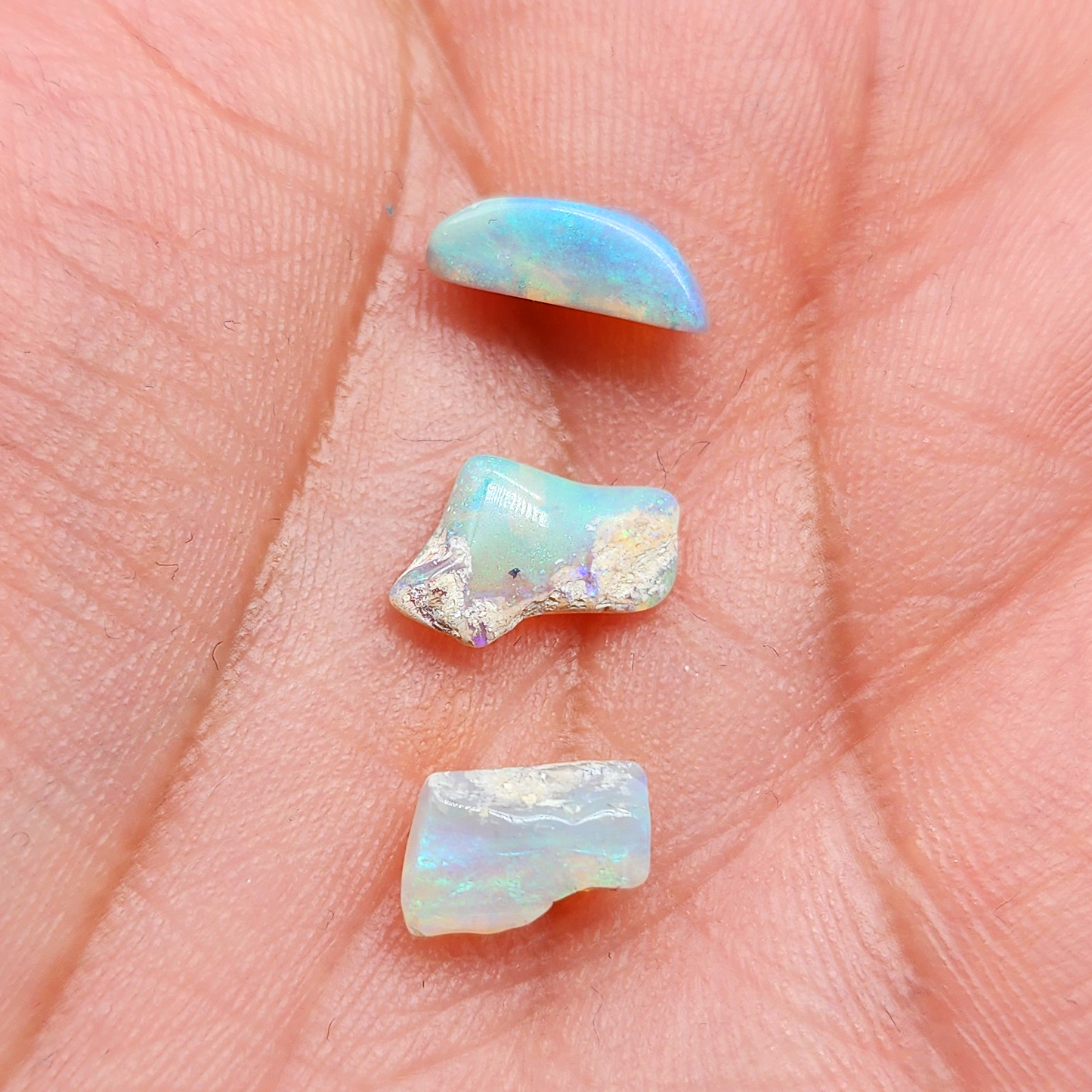 BUNDLE-fossilized Opal wood specimens, 110 million years old