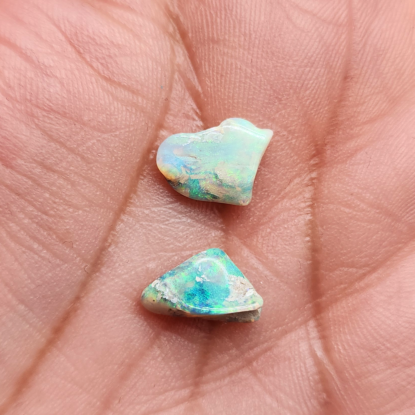 BUNDLE-fossilized Opal wood specimens, 110 million years old