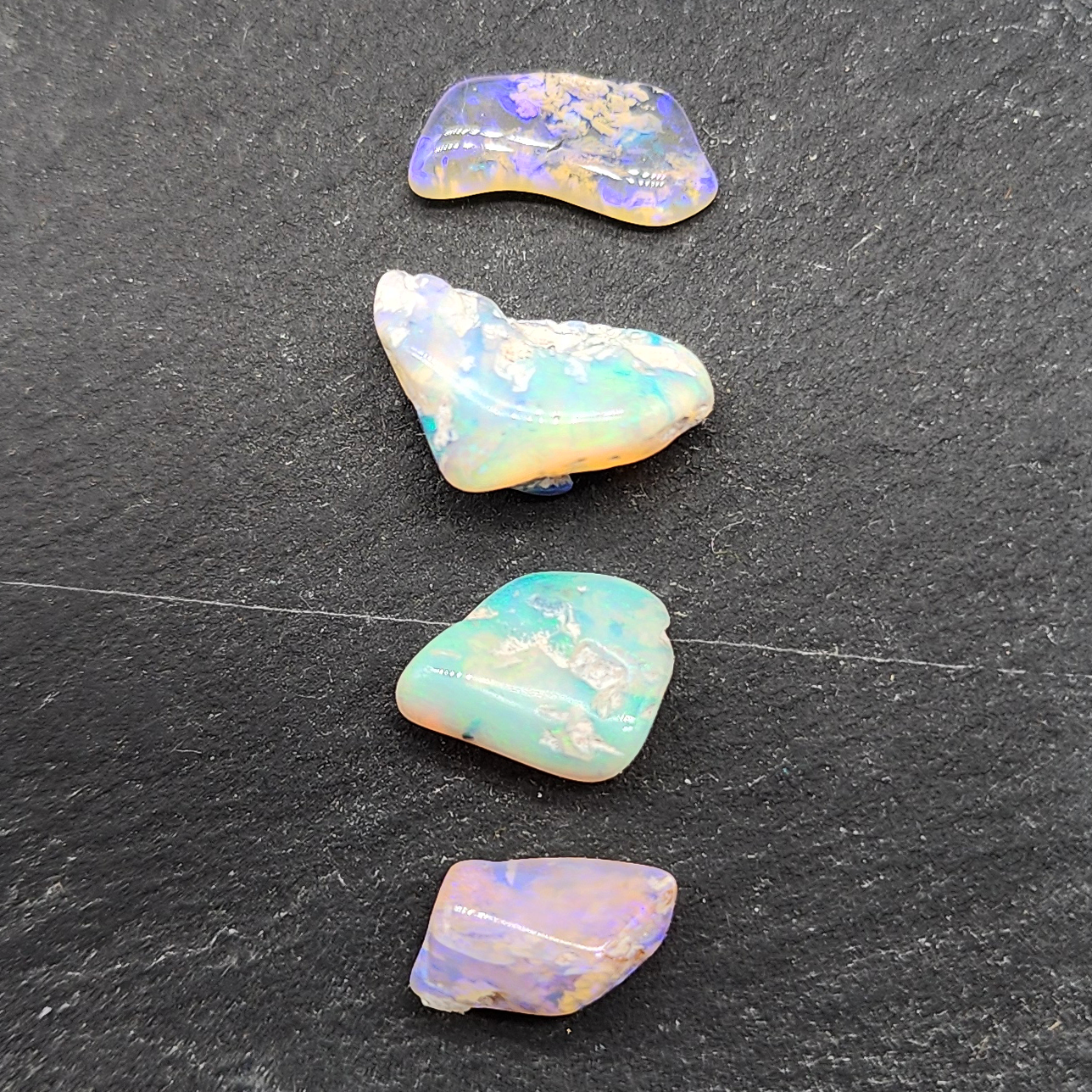 BUNDLE-fossilized Opal wood specimens, 110 million years old