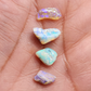 BUNDLE-fossilized Opal wood specimens, 110 million years old