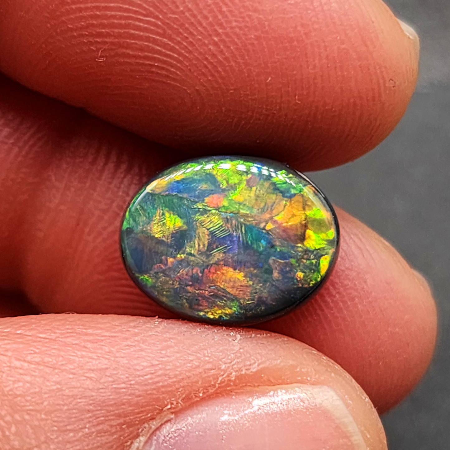 museum grade black opal with orange- multi color pattern and full face color