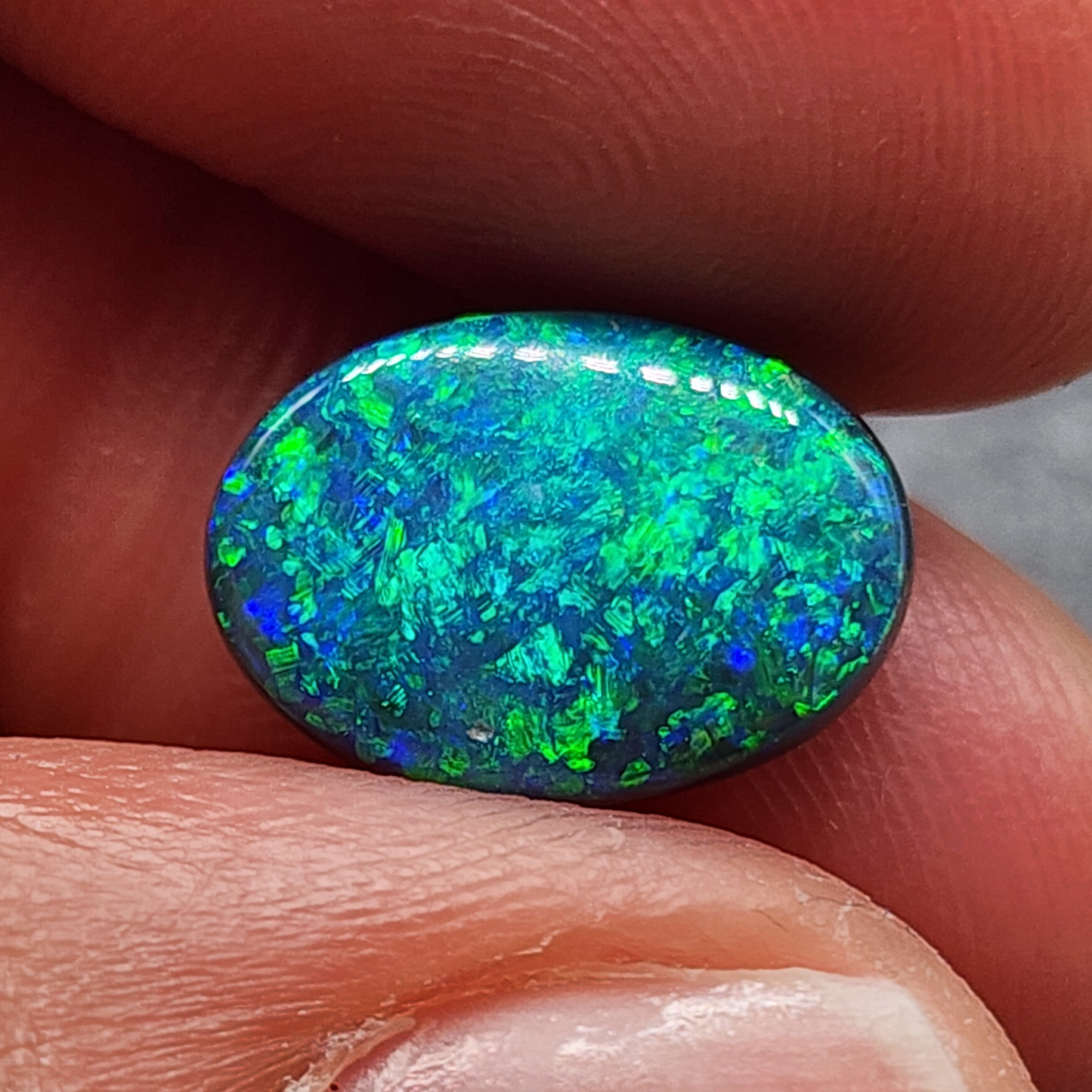 world class Black opal with exceptional green-multi color floral pattern