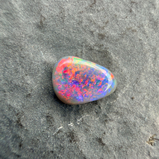 0.49cts Affordable Black Opal With A Vivid Red Pink Multicolor Play Of Color, From Lightning Ridge Australia