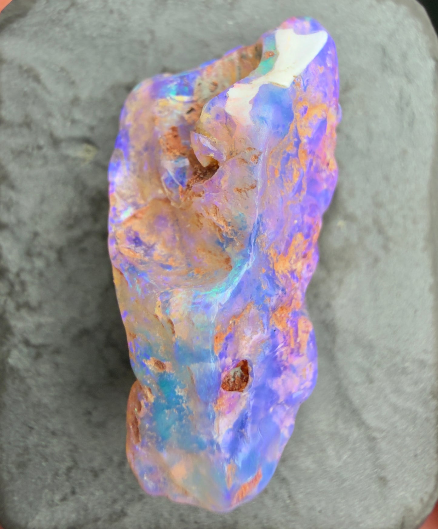 9.2cts Opalized Wood Fossil Specimen, Lightning Ridge Australia
