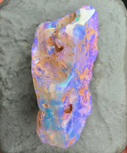 9.2cts Opalized Wood Fossil Specimen, Lightning Ridge Australia