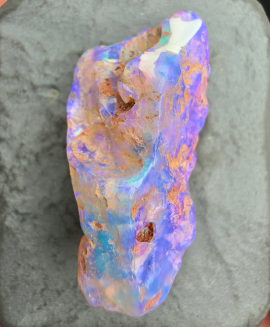 9.2cts Opalized Wood Fossil Specimen, Lightning Ridge Australia