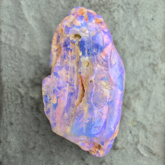 6cts Opalized Wood Fossil Specimen, Lightning Ridge Australia