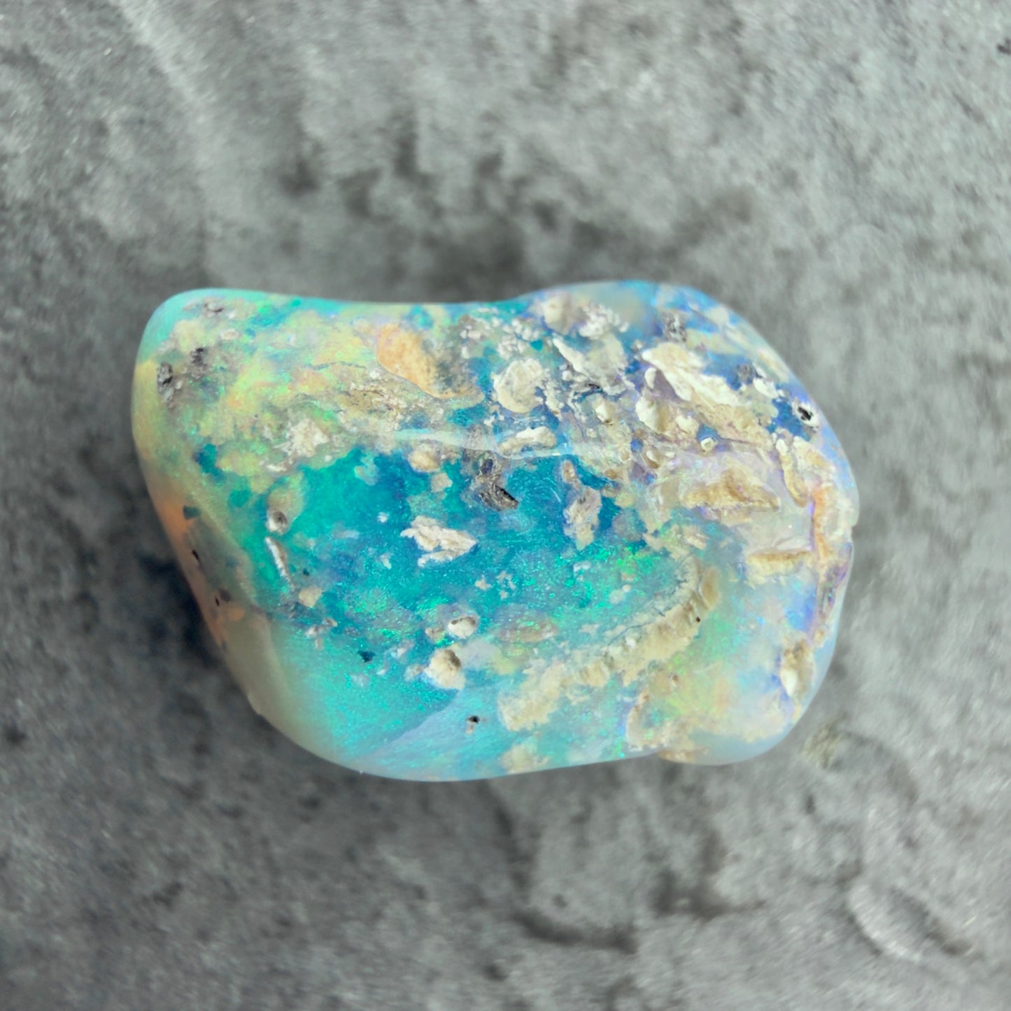 3.83cts Opalized Wood Fossil Specimen, Lightning Ridge Australia